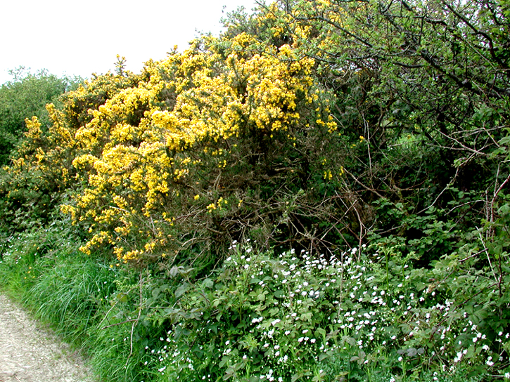 Boulteen Crossroads 4.jpg 624.9K